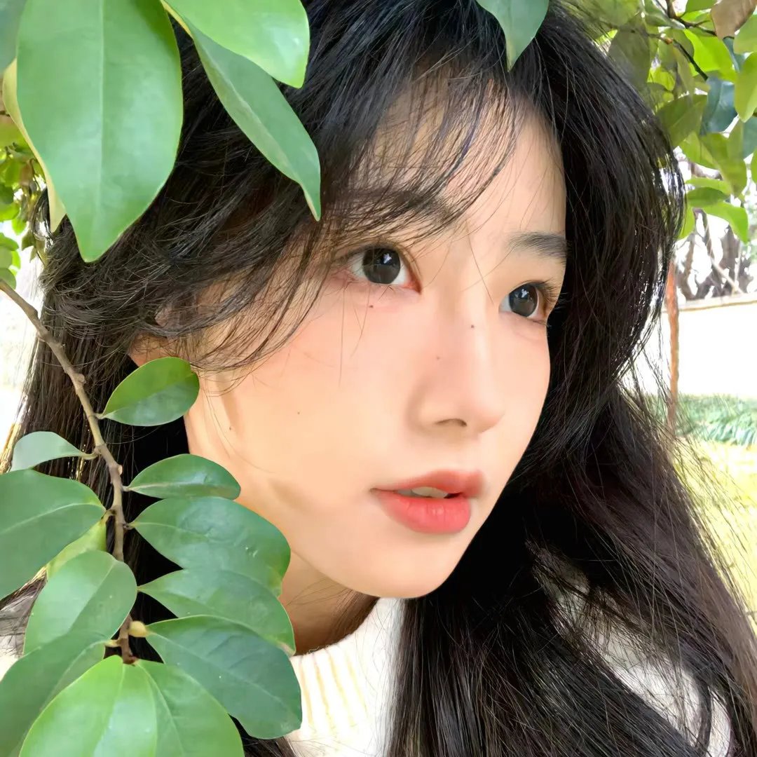 阴山守陵人